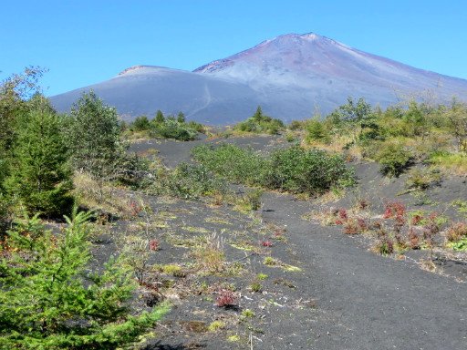 ニットアウト！太郎坊より登山者を眺めながら。_d0160611_14521912.jpg