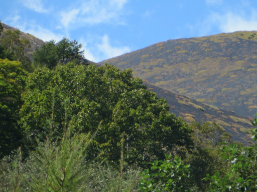 d0160611_15042249.jpg