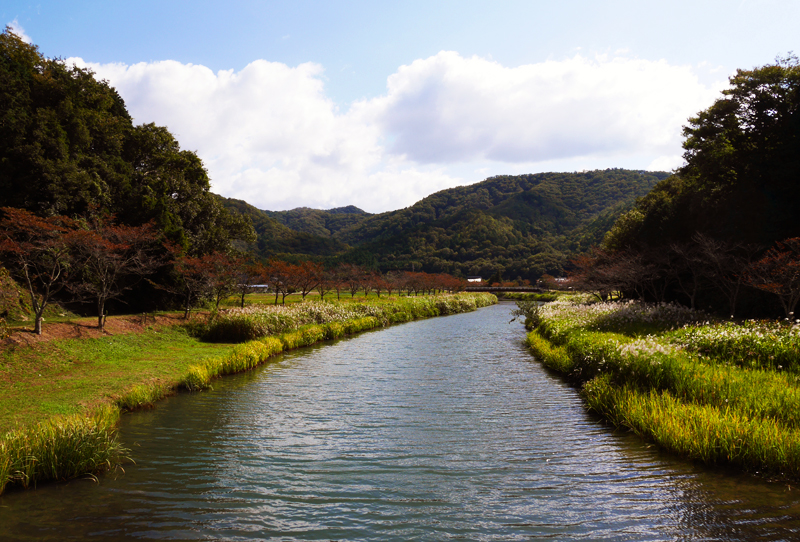 いつもの川_c0120913_1510172.jpg