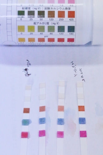 第9回お茶研究会_b0220318_00311085.jpg