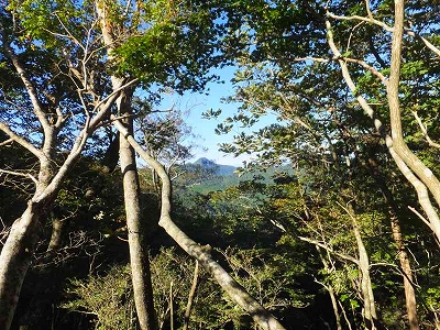 f0193521_1725561.jpg