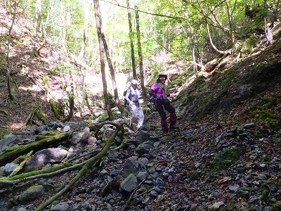 f0193521_17312263.jpg