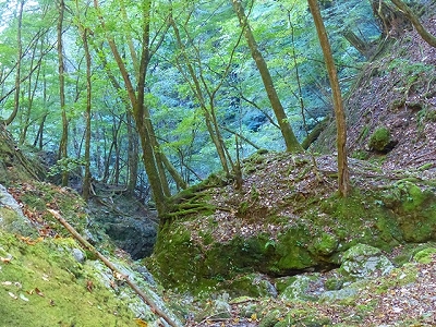 f0193521_17351159.jpg
