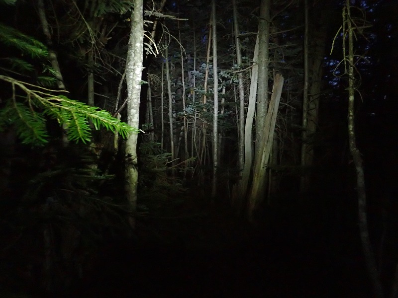 e0284726_23165819.jpg