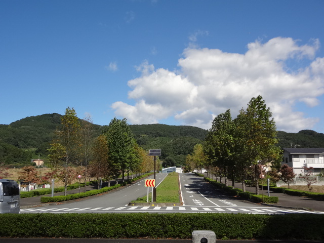 f0148927_2154192.jpg