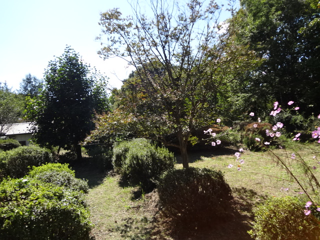 f0148927_21561286.jpg