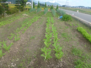 c0343936_22164787.jpg