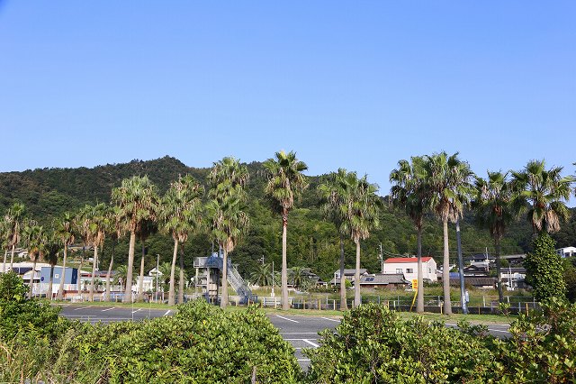 a0242438_18512544.jpg