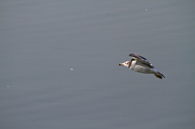 a0242438_18561163.jpg