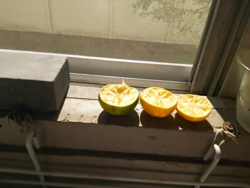 c0076939_21481271.jpg