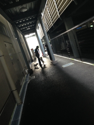 b0239151_12322674.png