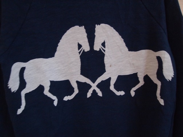 c0330558_20144151.jpg
