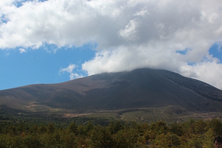 a0208560_1704314.jpg