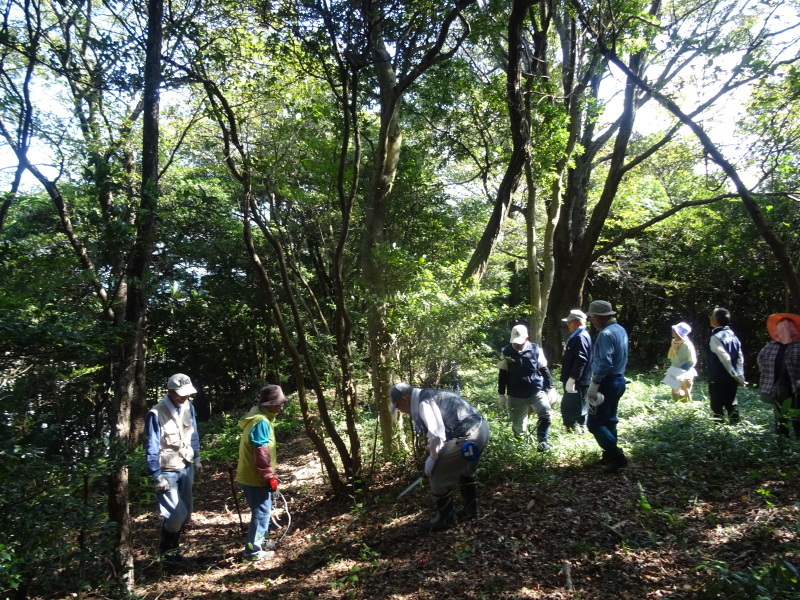 ぼうけん山に周遊路が完成　in　うみべの森_c0108460_21414767.jpg