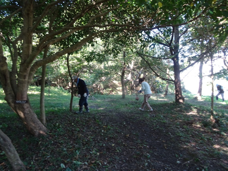 c0108460_21415016.jpg