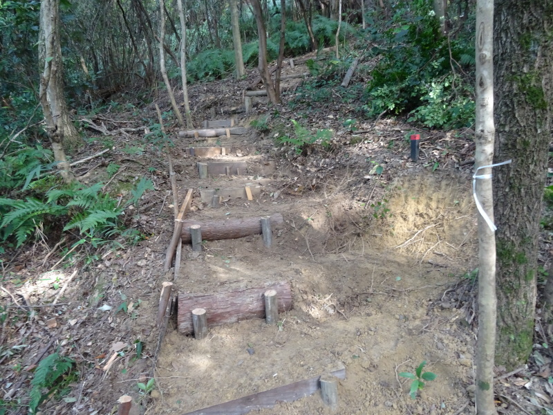 c0108460_21531270.jpg