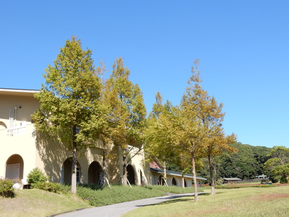 ’15,10,8(木)散歩の3つのお得!_f0060461_15484758.jpg