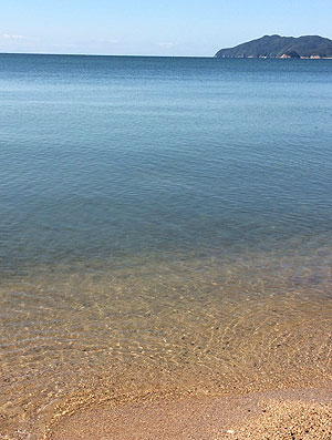 a0119470_2130496.jpg