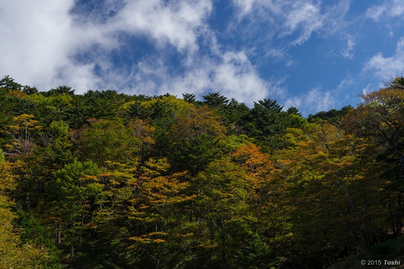 寒かった大台ケ原_c0350572_22222890.jpg