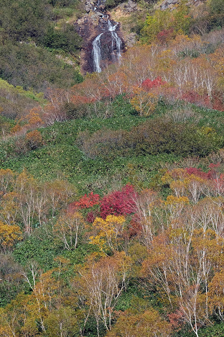 栂池自然園（２）_e0096372_13460427.jpg