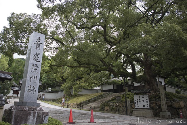 京都（岡崎から高台寺へ）_b0280176_16405.jpg