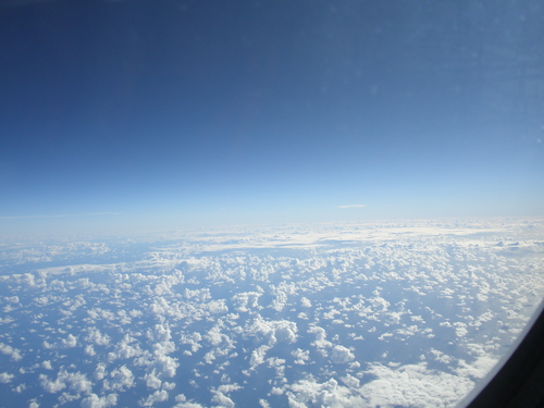 d0062076_1165029.jpg
