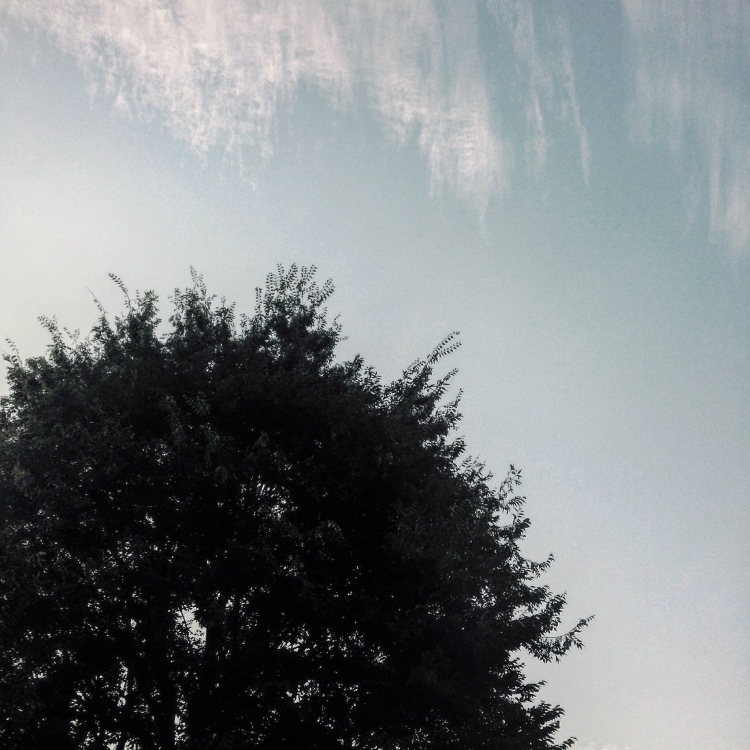 d0180285_09581552.jpeg