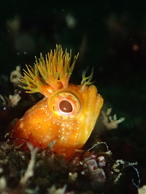 f0151886_15542680.jpg