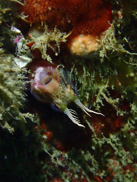f0151886_15561539.jpg