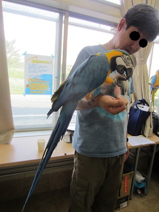 Macaw meeting_f0234590_8585550.jpg