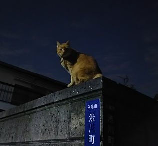 d0282395_14111871.png