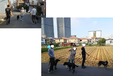 d0282395_14113793.png