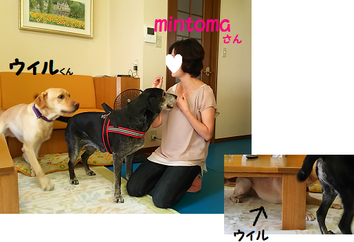 d0282395_14122224.png