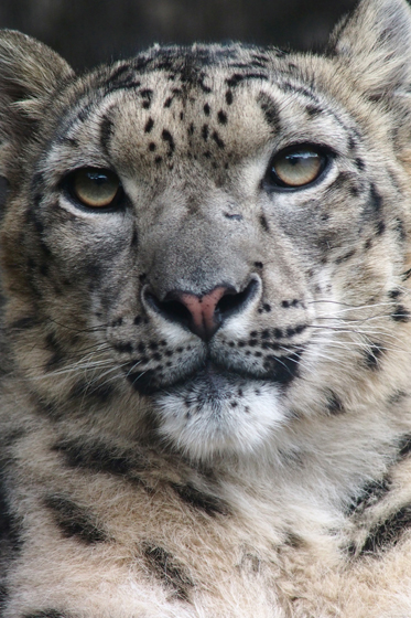 30年前の150-600mm_b0016600_6533034.jpg