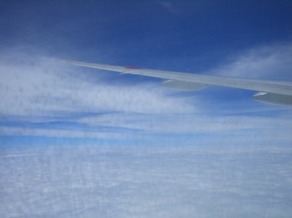 a0126310_21484768.jpg
