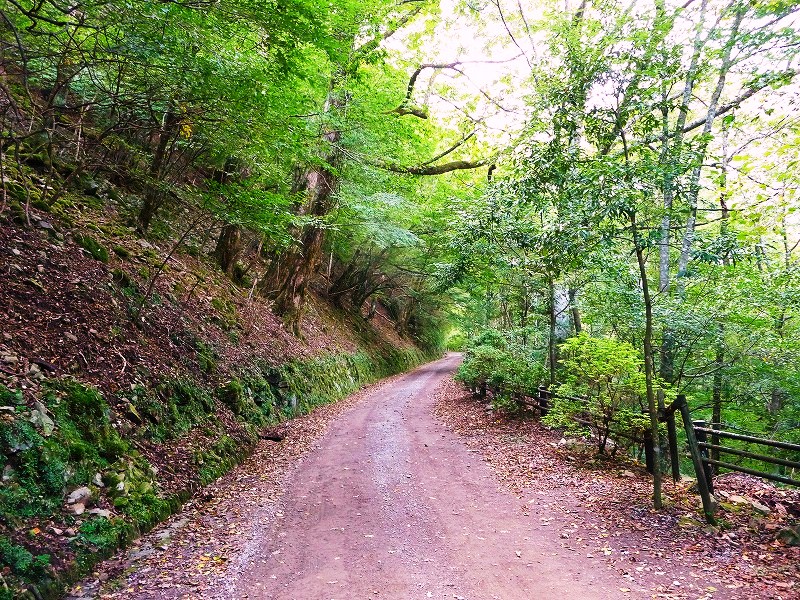 f0182513_23553130.jpg