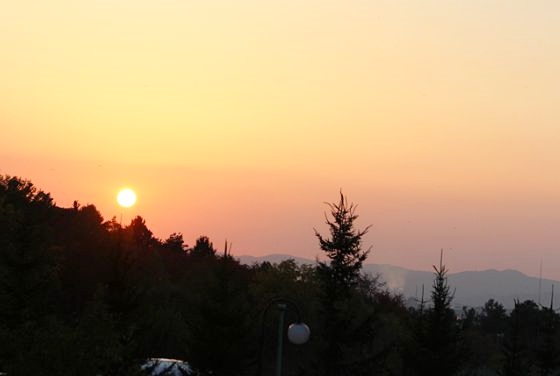 b0339621_20275488.jpg