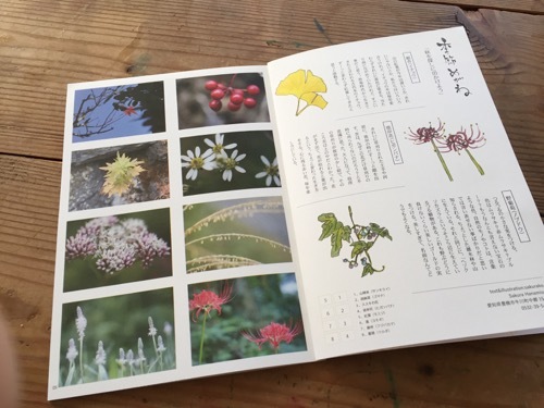 冊子「ヒカリメガネ」に掲載していただきました_a0284626_12174962.jpg