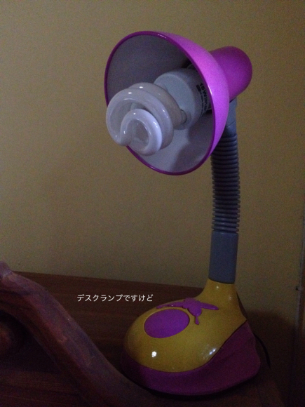 ウブドラジオさんとデスクランプ_a0120328_18561536.jpg