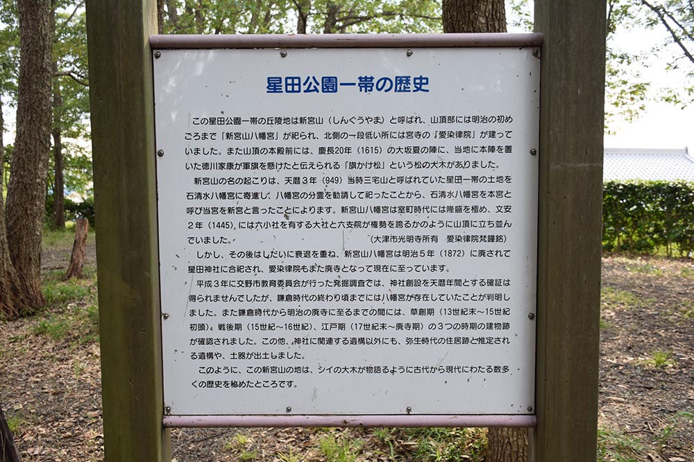 e0158128_2129267.jpg