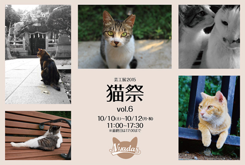 猫祭Vol.6 / NYADAR_c0194541_19295039.jpg
