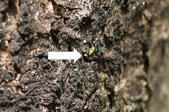 f0345350_22352597.png