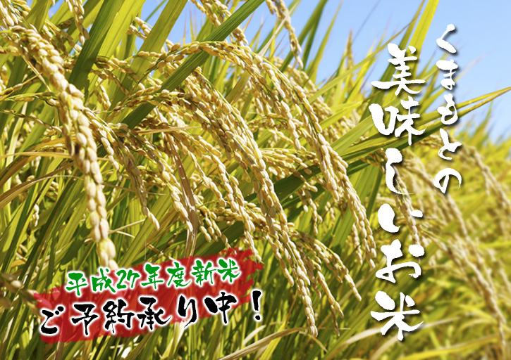 平成27年度新米!熊本の美味しいお米(菊池水源棚田米、砂田のれんげ米、七城米)予約受付スタート! _a0254656_1639340.jpg
