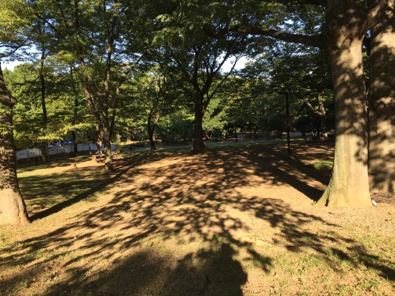 c0326156_16464549.jpg