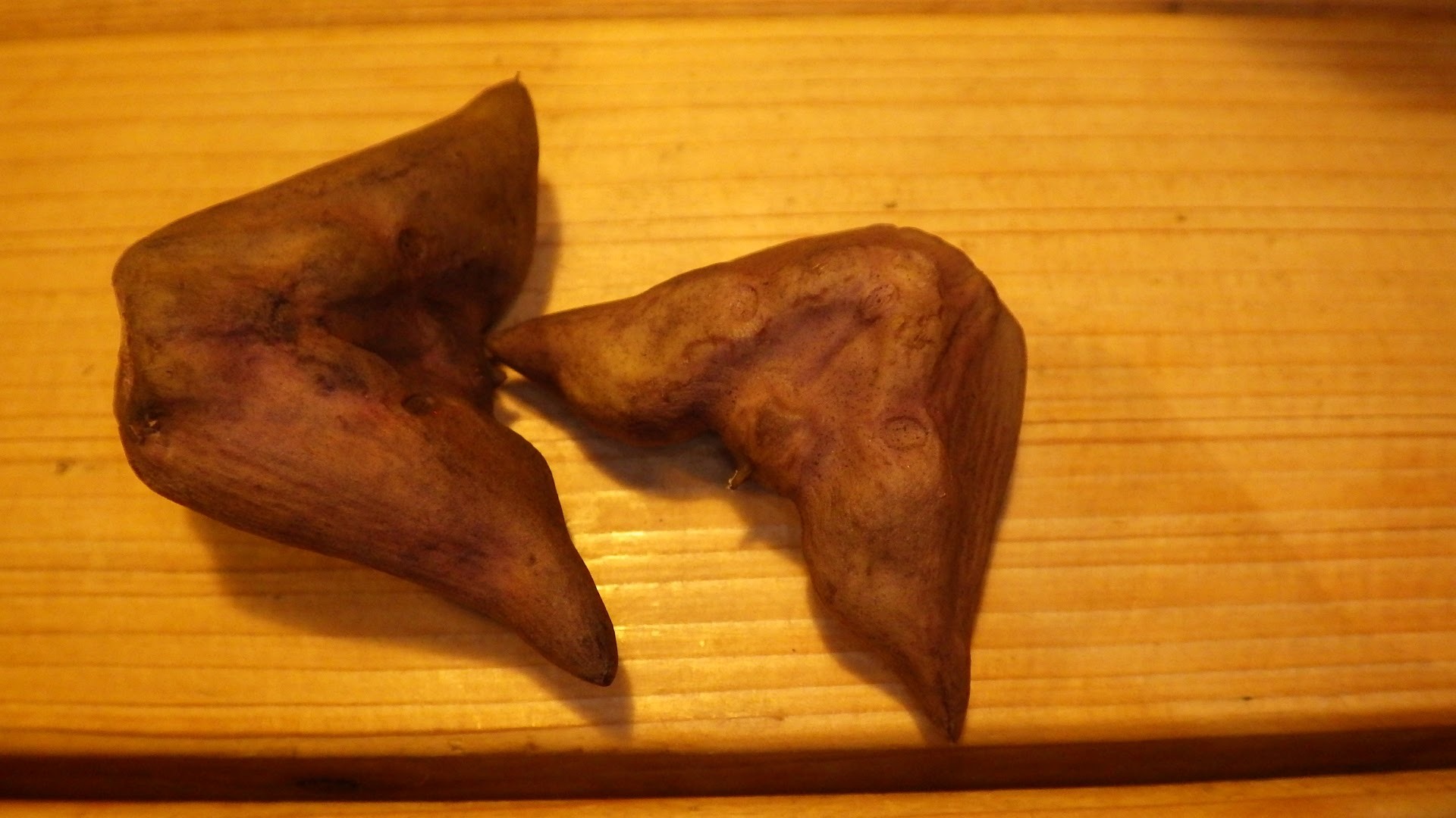 f0201157_22073363.jpg