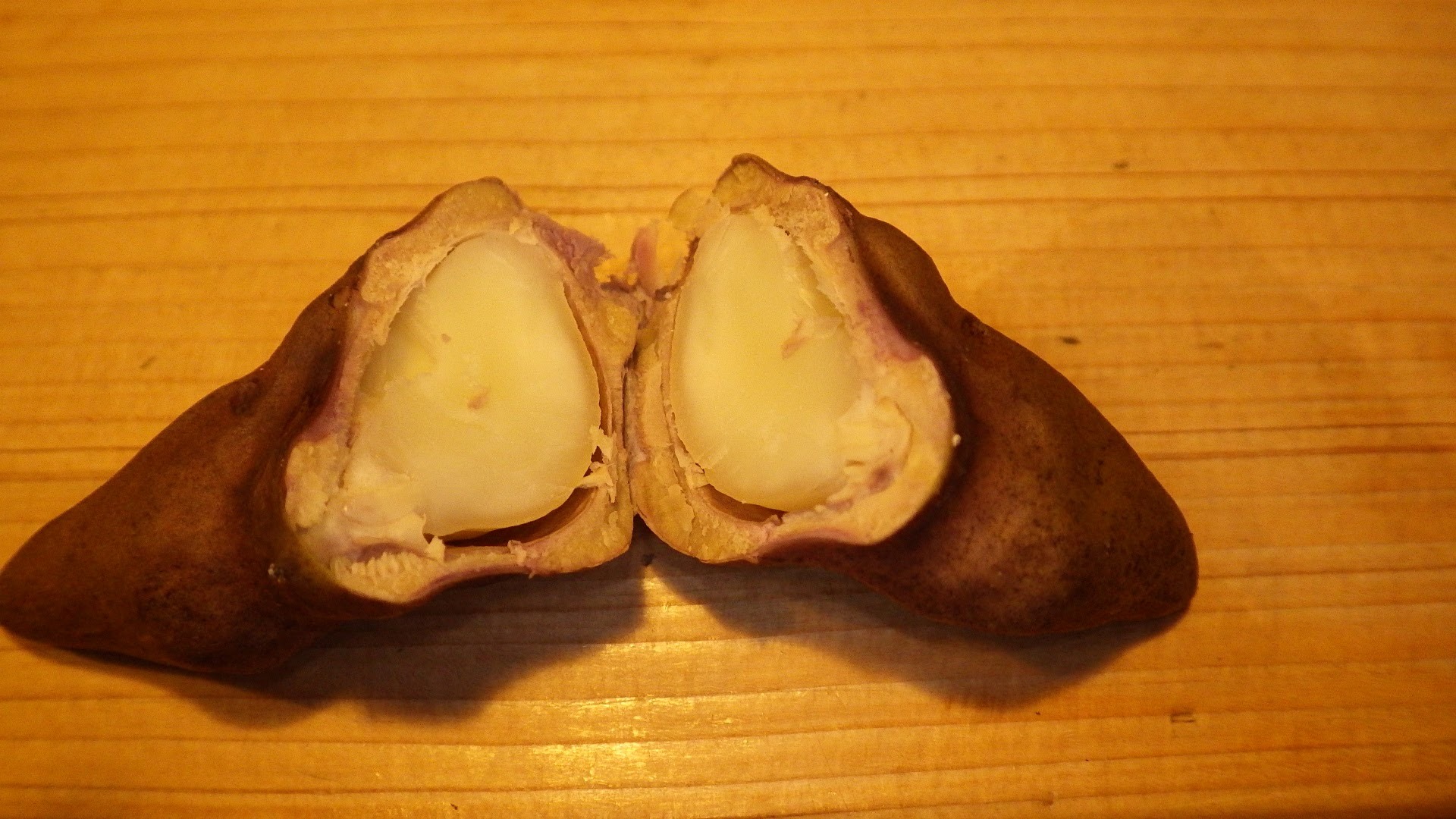 f0201157_22080276.jpg