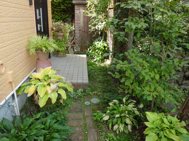d0233866_15521150.jpg