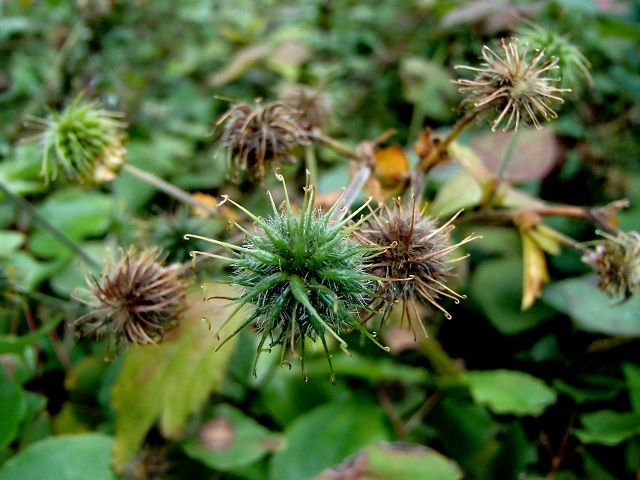 d0105967_22253750.jpg