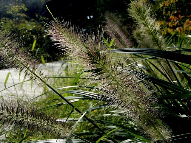 d0105967_22261368.jpg