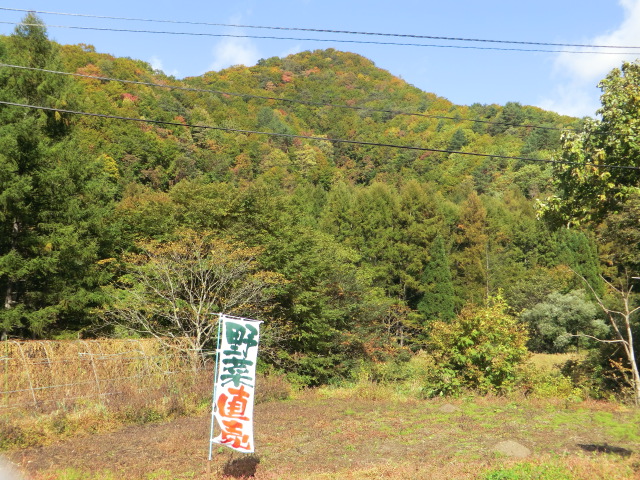 10月9日「紅葉」part2 _c0160368_19171521.jpg
